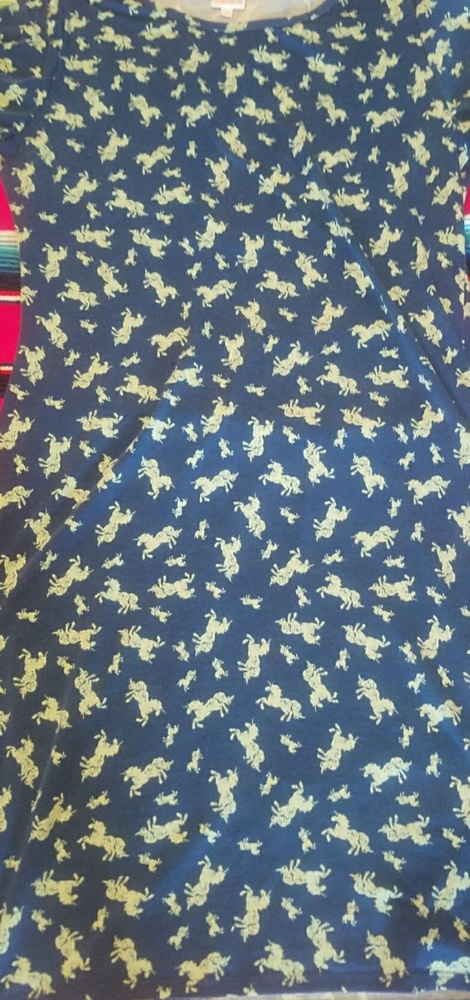 🦄🦄Lularoe Julia 2XL